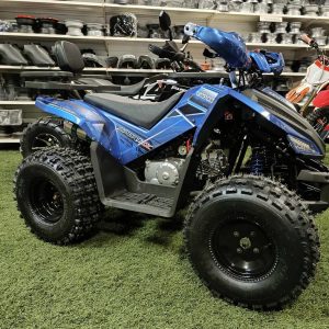 Tao coyote gyerek quad kék 125cc