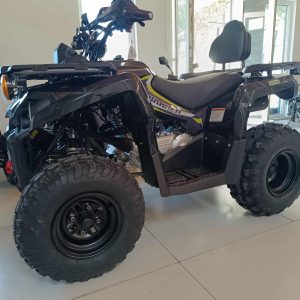 rendszámos quad